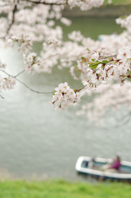 千鳥ヶ淵ボート