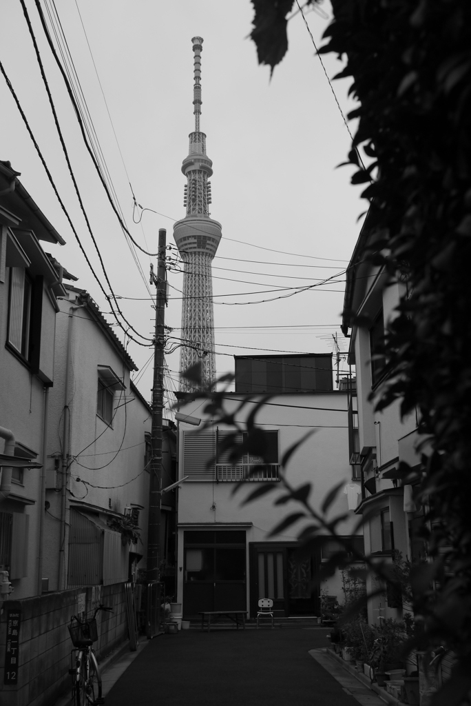 P1020024
