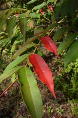 P1070157