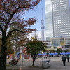P1060608