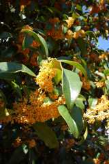 P1070146