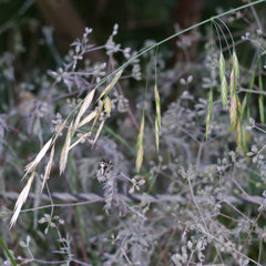 P1010632