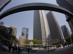 P1030803