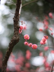 794020E4-FD2D-4E0E-B3E7-99FD18DCEF72