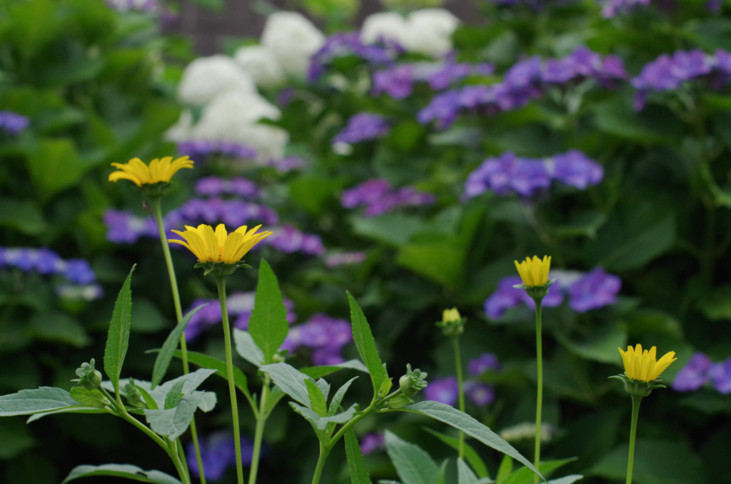 IMGP0838
