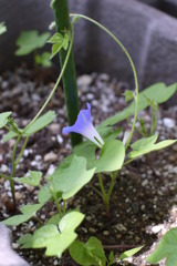 P1020803