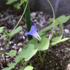 P1020803