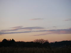 P1030232