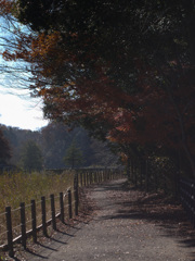 P1070822