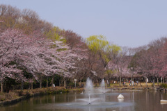P1050503