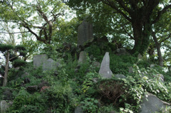IMGP0003