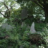 IMGP0003