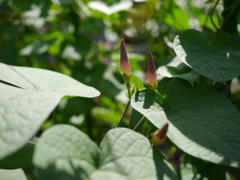 P1080379