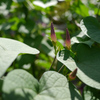 P1080379