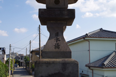 IMGP6847