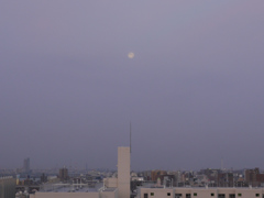 P1040539