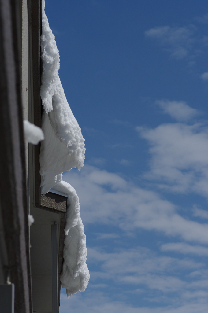 しだれ雪