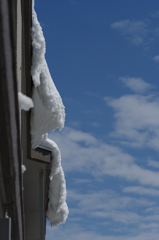 しだれ雪