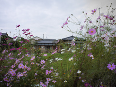 P1070356