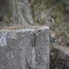 P1100155