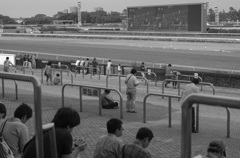 IMGP0918