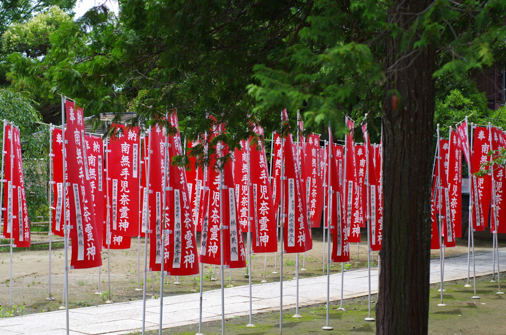 IMGP0861