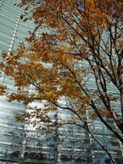 P1070715