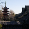 P1070456