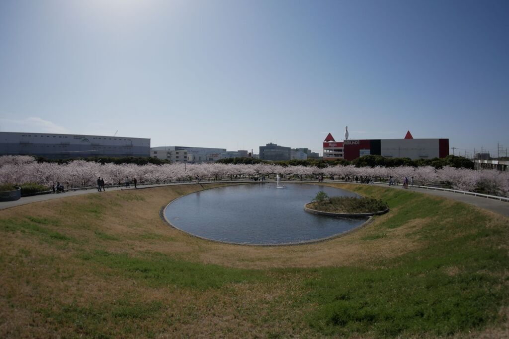 P1140180