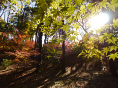 P1060995