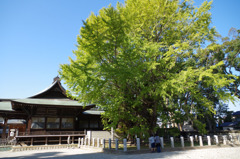 IMGP6982