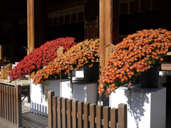 P1080711