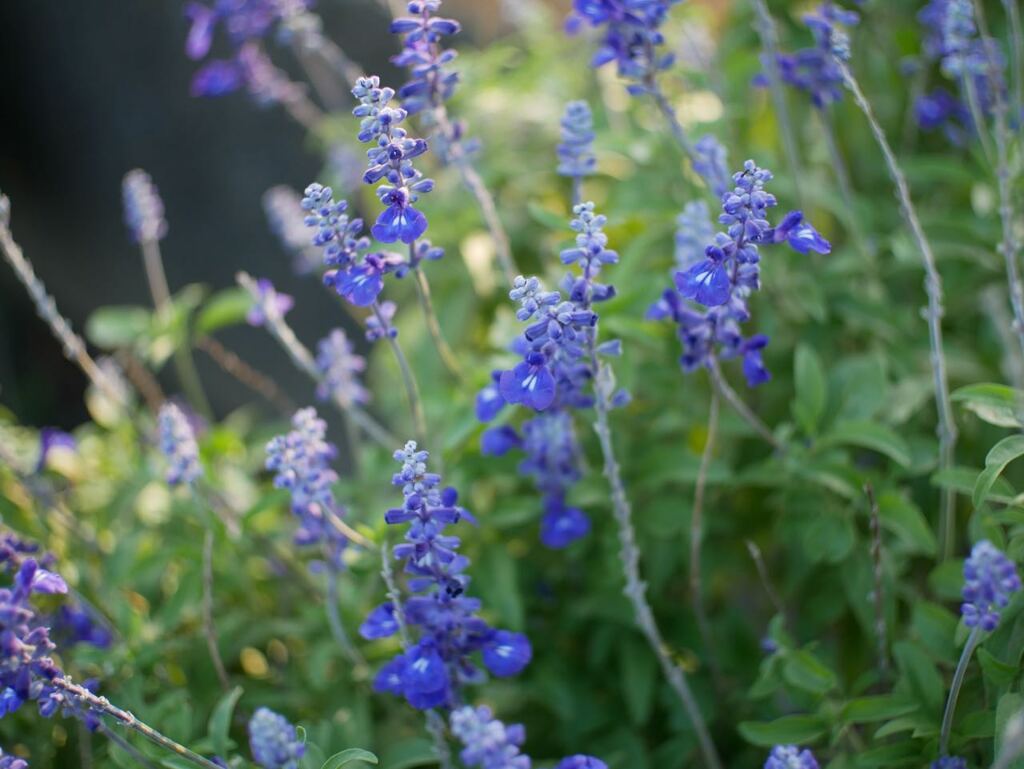 P1070604