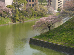 P1030859