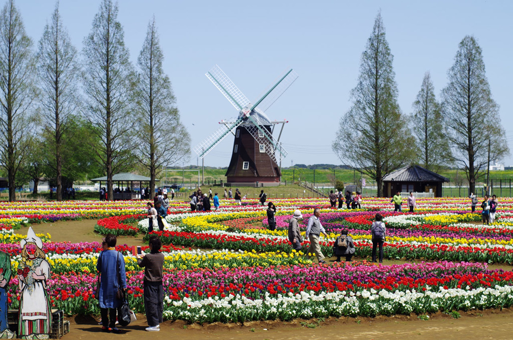 IMGP4444
