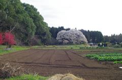 IMGP0896