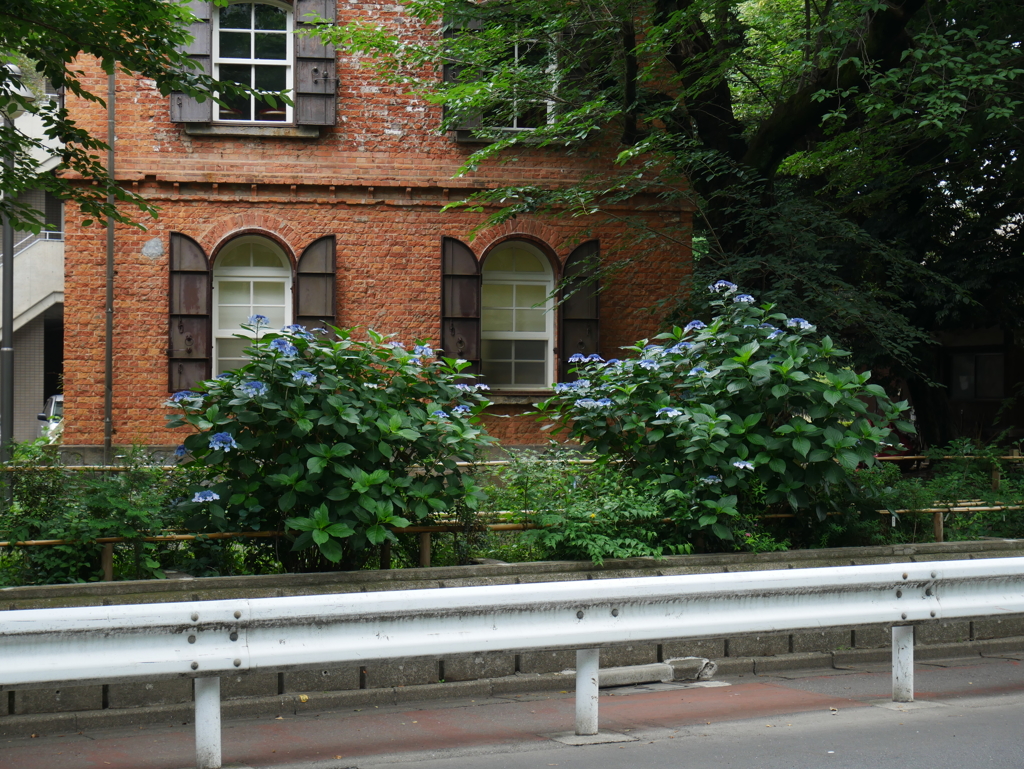 P1070307