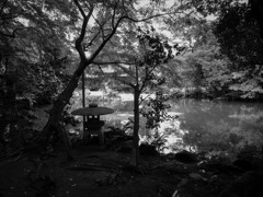 IMG_1740