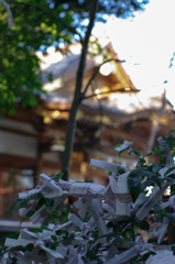 みくじ
