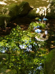 P1010596