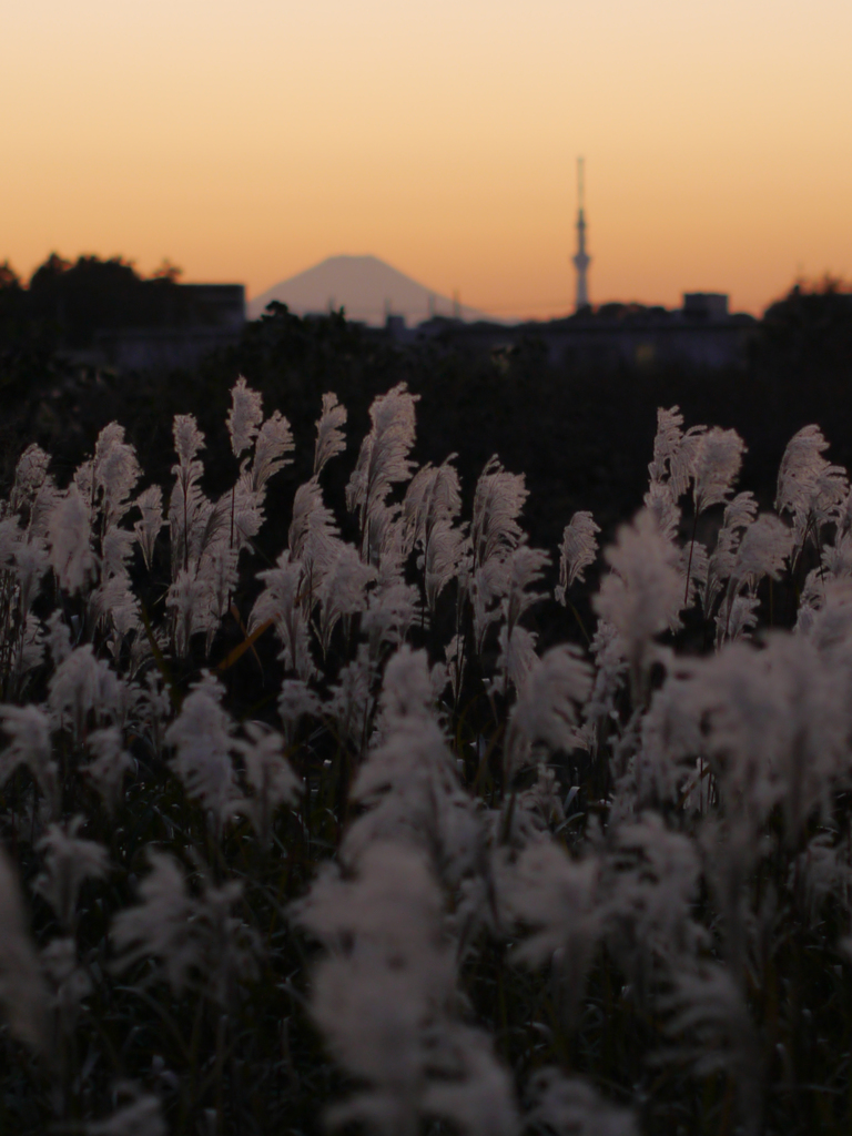 遠景