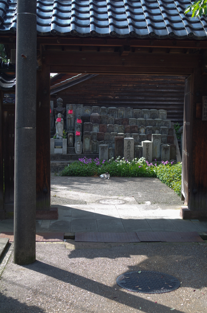 金沢＿寺町