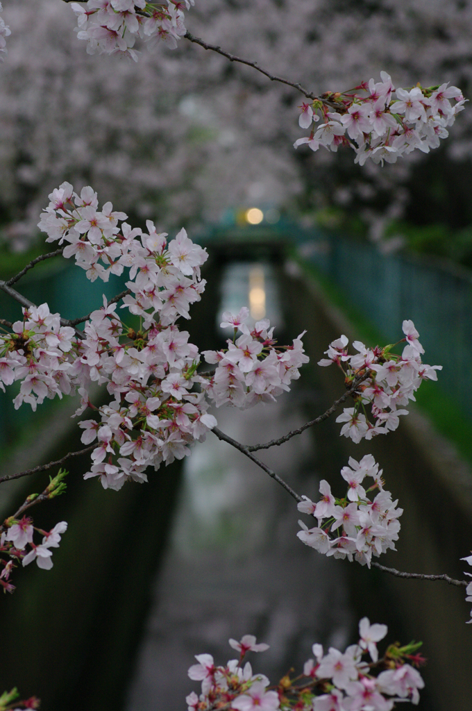 夕の景