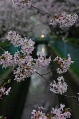 夕の景