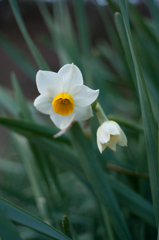 IMGP5884