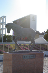 IMGP4941