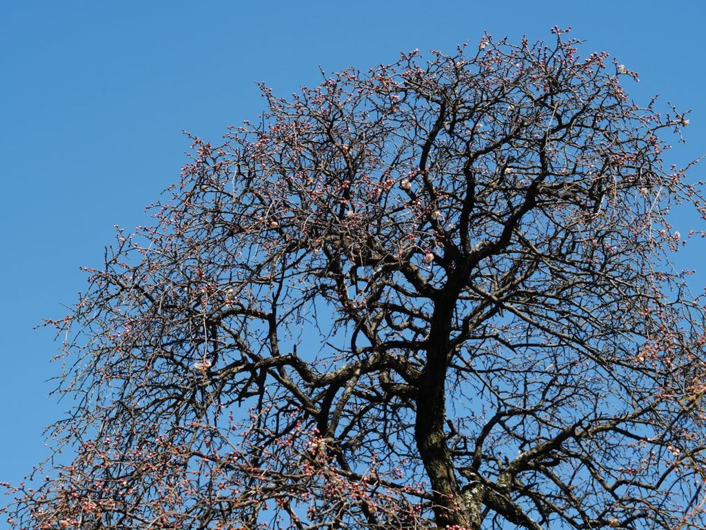 P1060441