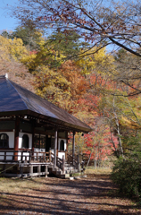 秋の寺