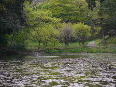 P1010351