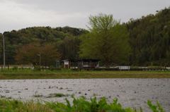 IMGP0917